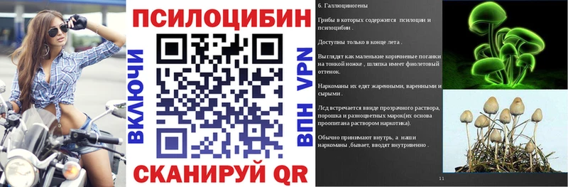 Галлюциногенные грибы Cubensis  Стерлитамак 