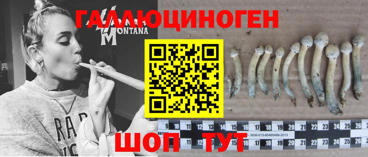 Псилоцибиновые грибы мухоморы  Псилоцибиновые грибы Psilocybe  Вход с VPN  Стерлитамак 